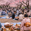 Hanami : Tout savoir sur la fête des cerisiers en fleurs au Japon