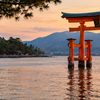 Les îles japonaises méconnues : Yakushima, Naoshima et Miyajima