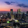 Visiter Tokyo : Le guide complet pour préparer son voyage au Japon