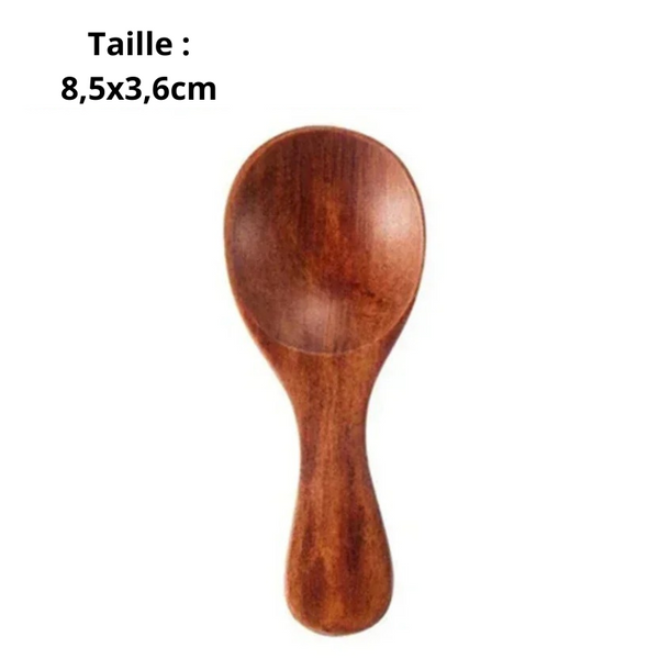 Cuillères en Bois