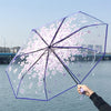 Parapluie Transparent Japon