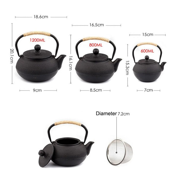 Théière Japonaise en Fonte
