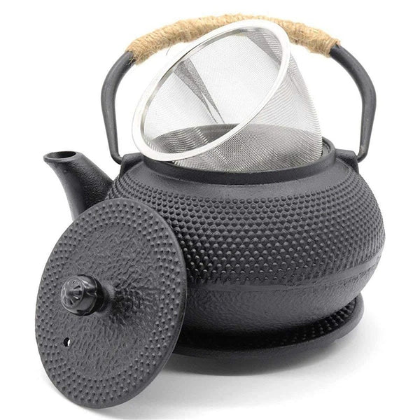 Théière Japonaise en Fonte