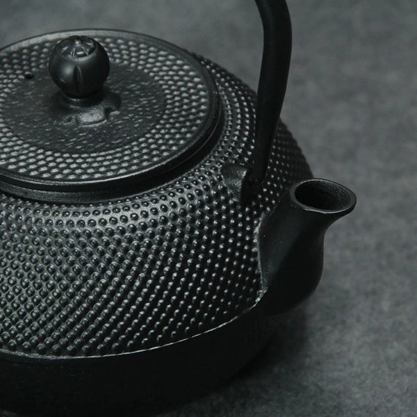 Théière Japonaise en Fonte