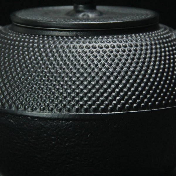 Théière Japonaise en Fonte