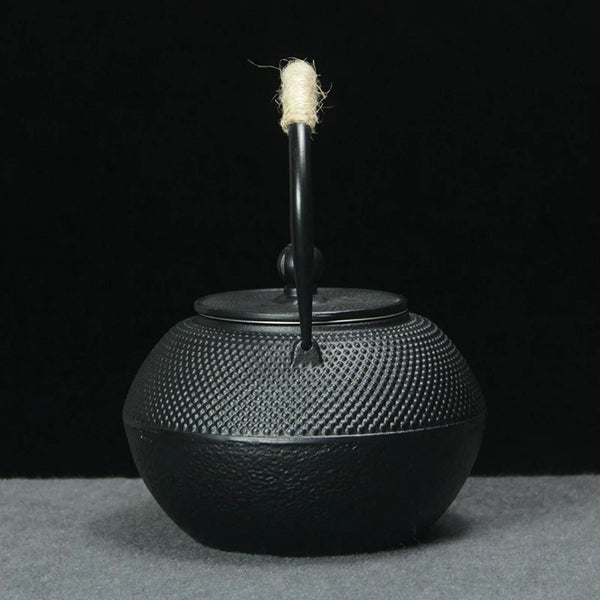 Théière Japonaise en Fonte