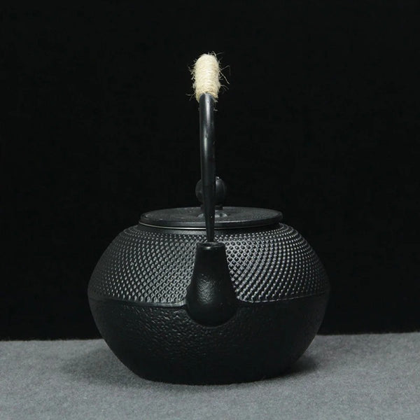 Théière Japonaise en Fonte