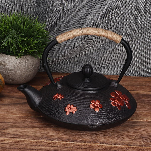 Théière Japonaise Fonte