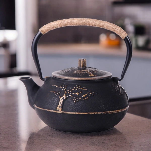 Théière Traditionnelle Japonaise