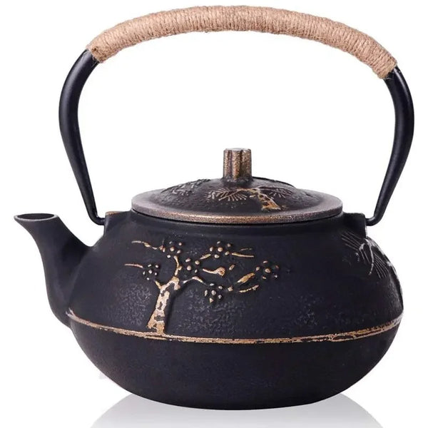Théière Traditionnelle Japonaise
