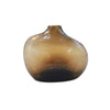 Vase Transparent