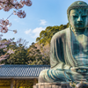 Kamakura : Le grand Bouddha et les temples incontournables à visiter