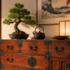 Le tansu : La commode japonaise traditionnelle dans un intérieur moderne