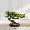 Arbre Bonsaï Artificiel