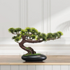 Bonsaï Artificiel Pin Japonais