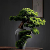 Bonsaï Plante Artificielle Haut de Gamme