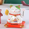 Chat Japonais Solaire