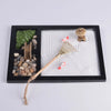 Miniature Jardin Zen