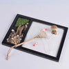 Miniature Jardin Zen