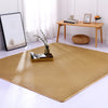 Tatami Salon Japonais