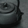 Théière Japonaise en Fonte