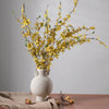Vase en Porcelaine Blanche
